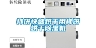 柿饼快速烘干用柿饼烘干除湿机