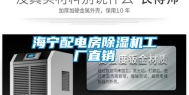 海宁配电房除湿机工厂直销