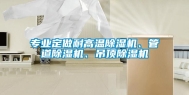 专业定做耐高温除湿机、管道除湿机、吊顶除湿机