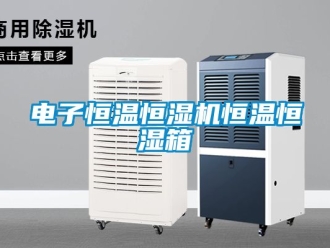 知识百科电子恒温恒湿机恒温恒湿箱