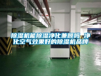 企业新闻除湿机能除湿净化兼顾吗 净化空气效果好的除湿机品牌
