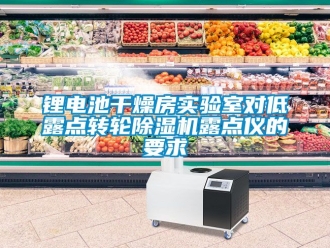 常见问题锂电池干燥房实验室对低露点转轮除湿机露点仪的要求