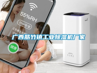 企业新闻广西筋竹镇工业除湿机厂家