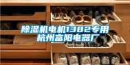 除湿机电机1382专用 杭州富阳电器厂
