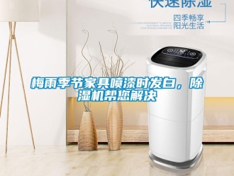 行业新闻梅雨季节家具喷漆时发白，除湿机帮您解决
