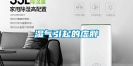 湿气引起的虚胖
