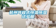杭州可程式恒温恒湿试验箱