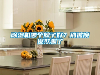 行业新闻除湿机哪个牌子好？别被傻傻欺骗了