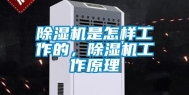 除湿机是怎样工作的，除湿机工作原理