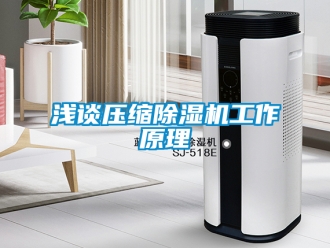 行业新闻浅谈压缩除湿机工作原理