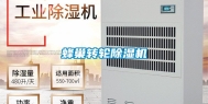 蜂巢转轮除湿机