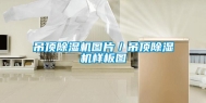 吊顶除湿机图片／吊顶除湿机样板图