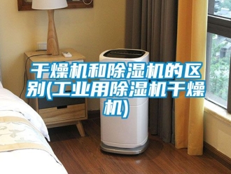 常见问题干燥机和除湿机的区别(工业用除湿机干燥机)