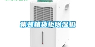 集装箱货柜除湿机