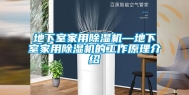 地下室家用除湿机—地下室家用除湿机的工作原理介绍