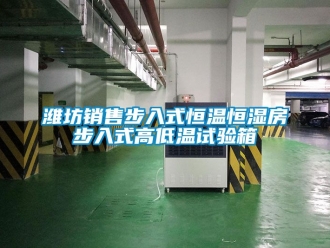 知识百科潍坊销售步入式恒温恒湿房步入式高低温试验箱