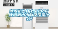 除湿机为什么会出水？除湿机出水的原理是什么？