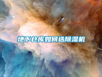常见问题地下仓库如何选除湿机