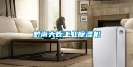 黔南大连工业除湿机