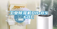 工业除湿机DH-8960C