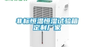 非标恒温恒湿试验箱定制厂家