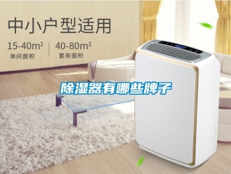 行业新闻除湿器有哪些牌子