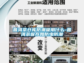 常见问题普洱茶仓库防潮吸用什么-普洱茶保存如防虫防潮