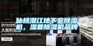 仙桃潜江地下室除湿机，湿菱除湿机品牌