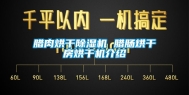腊肉烘干除湿机 腊肠烘干房烘干机介绍