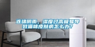 连绵阴雨，湿度过高极易导致猫咪皮肤病怎么办？