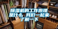 除湿机的工作原理是什么 我们一起来了解一下