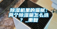 除湿机里的猫腻：两个除湿量怎么选？_重复