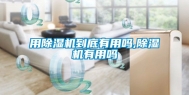 用除湿机到底有用吗,除湿机有用吗