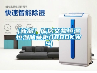 常见问题[新品] 库房文物恒温恒湿储藏柜(1000KWS)