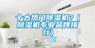 十大热门除湿机？(除湿机专业品牌排行)