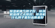 除湿机哪个牌子好，除湿机品牌十大排名，除湿机什么牌子最好品质最好