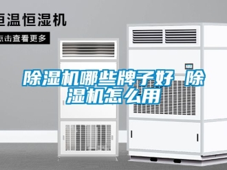 行业新闻除湿机哪些牌子好 除湿机怎么用