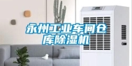 永州工业车间仓库除湿机