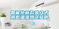 智能化新款步入式高低温湿热试验房