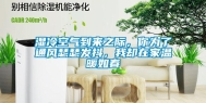 湿冷空气到来之际，你为了通风瑟瑟发抖，我却在家温暖如春