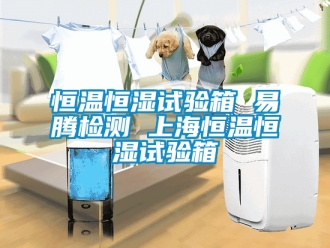 知识百科恒温恒湿试验箱 易腾检测 上海恒温恒湿试验箱