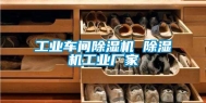 工业车间除湿机 除湿机工业厂家