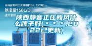 陕西静音正压新风什么牌子好(＊＊＊,2022已更新)
