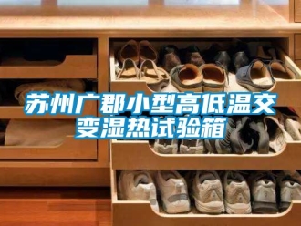 常见问题苏州广郡小型高低温交变湿热试验箱