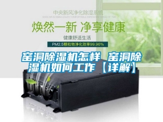 行业新闻窑洞除湿机怎样 窑洞除湿机如何工作【详解】