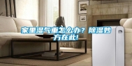 家里湿气重怎么办？除湿妙方在此!