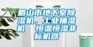 眉山市地下室除湿机，工业抽湿机  恒温恒湿非标机器