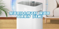 除湿器什么牌子好 除湿器品牌推荐【详解】