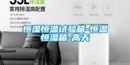 恒湿恒温试验箱-恒温恒湿箱-高天