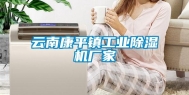 云南康平镇工业除湿机厂家